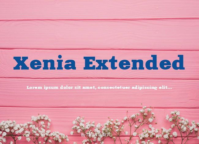 Xenia Extended example